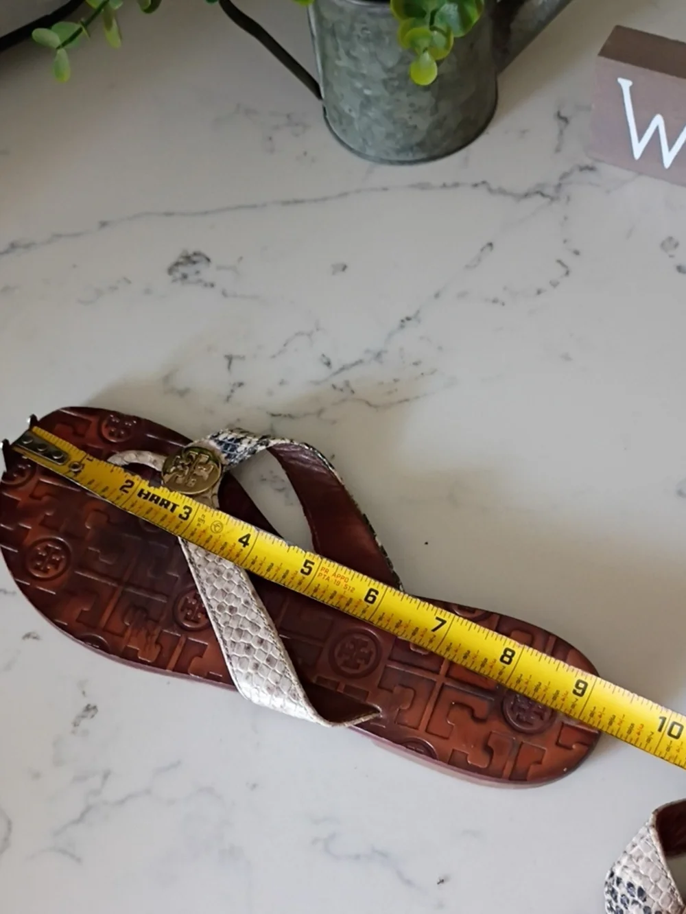 Tory Burch snake print